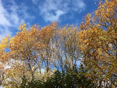 -滴血救世主教堂