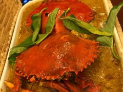 -茉莉.Red Crab