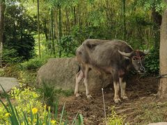 -茅山东方盐湖城景区