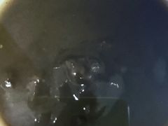 -随柳居·苏式小吃(建新巷店)