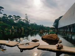 -罗红摄影艺术馆