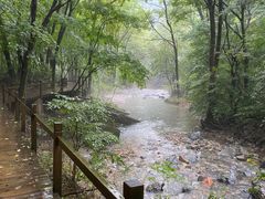 -关门山森林公园