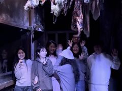 -Lostland交互式沉浸剧场