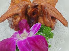 -鸽鸟轩(石岐店)