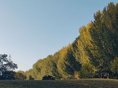 -长白岛森林公园