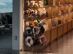 -杭州萧山国际机场