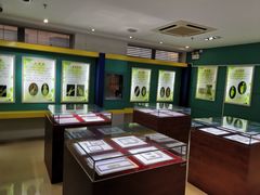 -上海昆虫博物馆