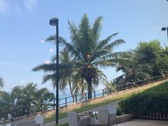 -雾山韩式烤肉·海南糟粕&椰子鸡火锅·海景餐厅(三亚绿发山海天JW万豪酒店)