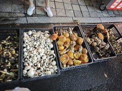 -名善山珍·野生菌汤锅(文殊院店)