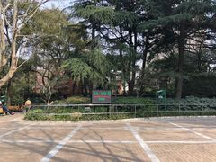 景点-华山儿童公园