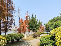 -飞来湖湿地公园
