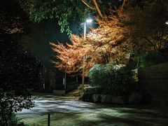 -龙头寺公园