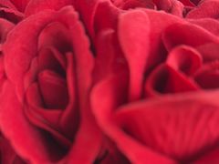 -Hi City·城市之巅