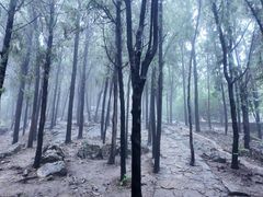 -云龙山