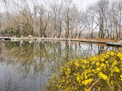 -玲珑塔公园