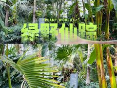 -国家植物园南园