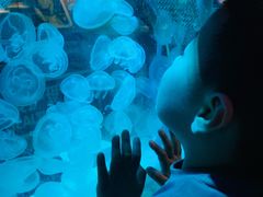 -沈阳海洋探索中心