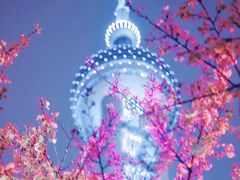 -陆家嘴中心绿地