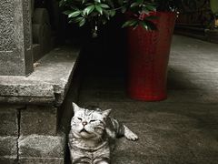 -龙华寺
