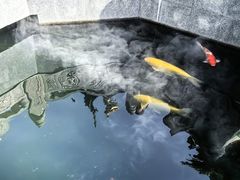 -西安市广仁寺
