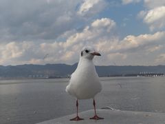 -海埂大坝