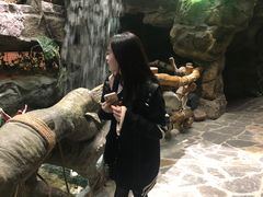 -多彩贵州城极地海洋世界