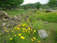 -白塘生态植物园