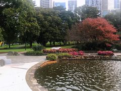 -斐兹洛伊花园