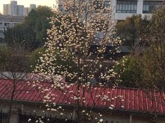 -上海财经大学(国定路校区)