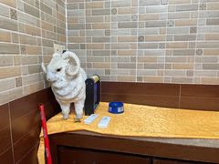 -强胜客家小镇(永福路店)