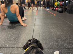 -CrossFit MeWellness