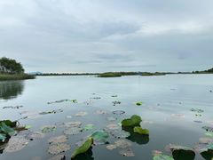 -苏州太湖湖滨国家湿地公园
