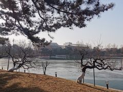 -钓鱼台国宾馆