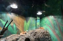 -萌宠亲子动物乐园(槐房万达店)