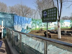 -秦皇岛野生动物园