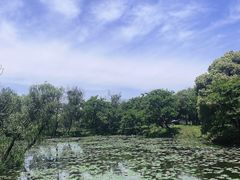 -西溪国家湿地公园