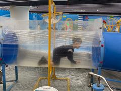 -苏州青少年科技馆