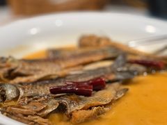 -丹江渔村(望京店)