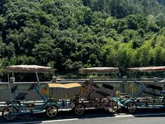 -严子陵钓台(富春江小三峡)