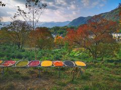 -塔川景区