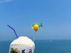 -养马岛旅游度假区