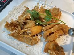 -源港渔村-中山脆肉鲩(博罗店)