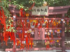 -祥源·阜阳生态乐园