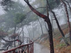 -沂蒙山旅游区龟蒙景区