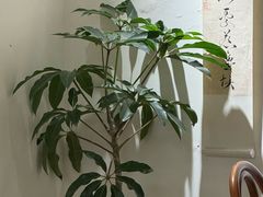 -本無咖啡·BeanWood Coffee