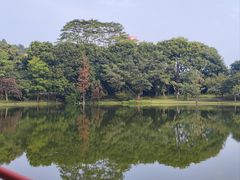 -东莞植物园