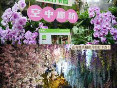 -正佳雨林生态植物园