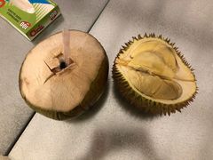 -都念榴莲·城市榴莲