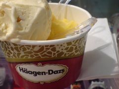 HD-哈根达斯(滨江店)