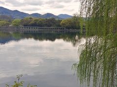 -儒之堂足道·SPA·推拿(莫干山路店)